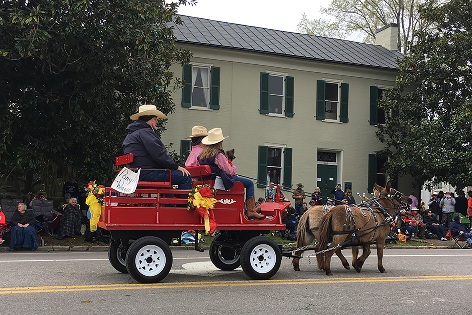 Two miniature mules pulling a red wagon carrying three people down the street in downtown Columbia, TN during the 2017 Mule Day Parade.