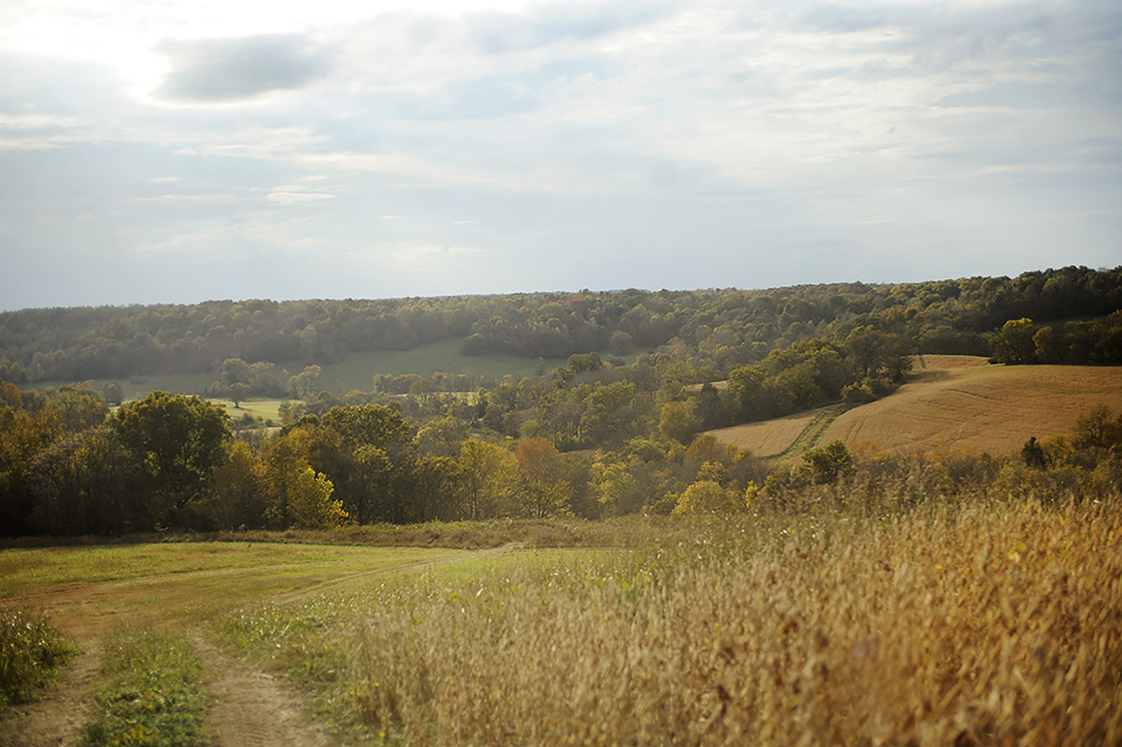 View of the surrounding autumn hills, trees, and fields around Milky Way Farm in Giles County, TN.